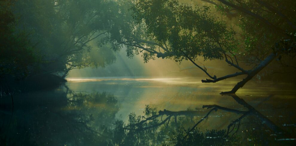 Sundarban