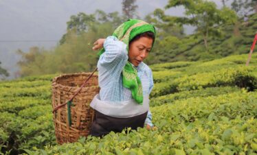 Darjeeling