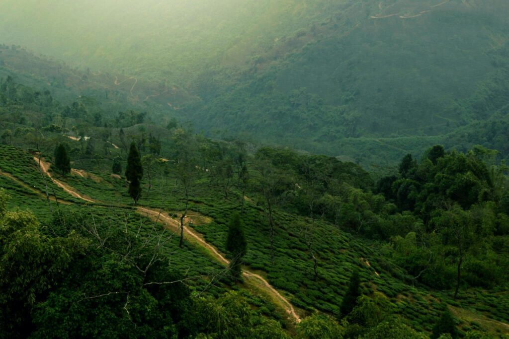 North Bengal
