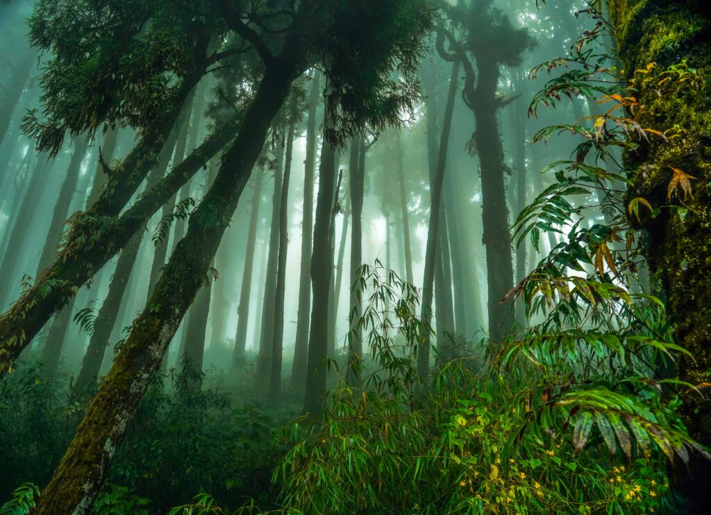 Kurseong