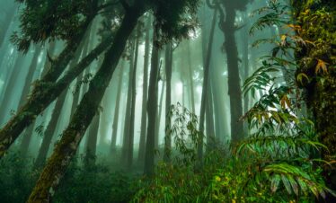 Kurseong